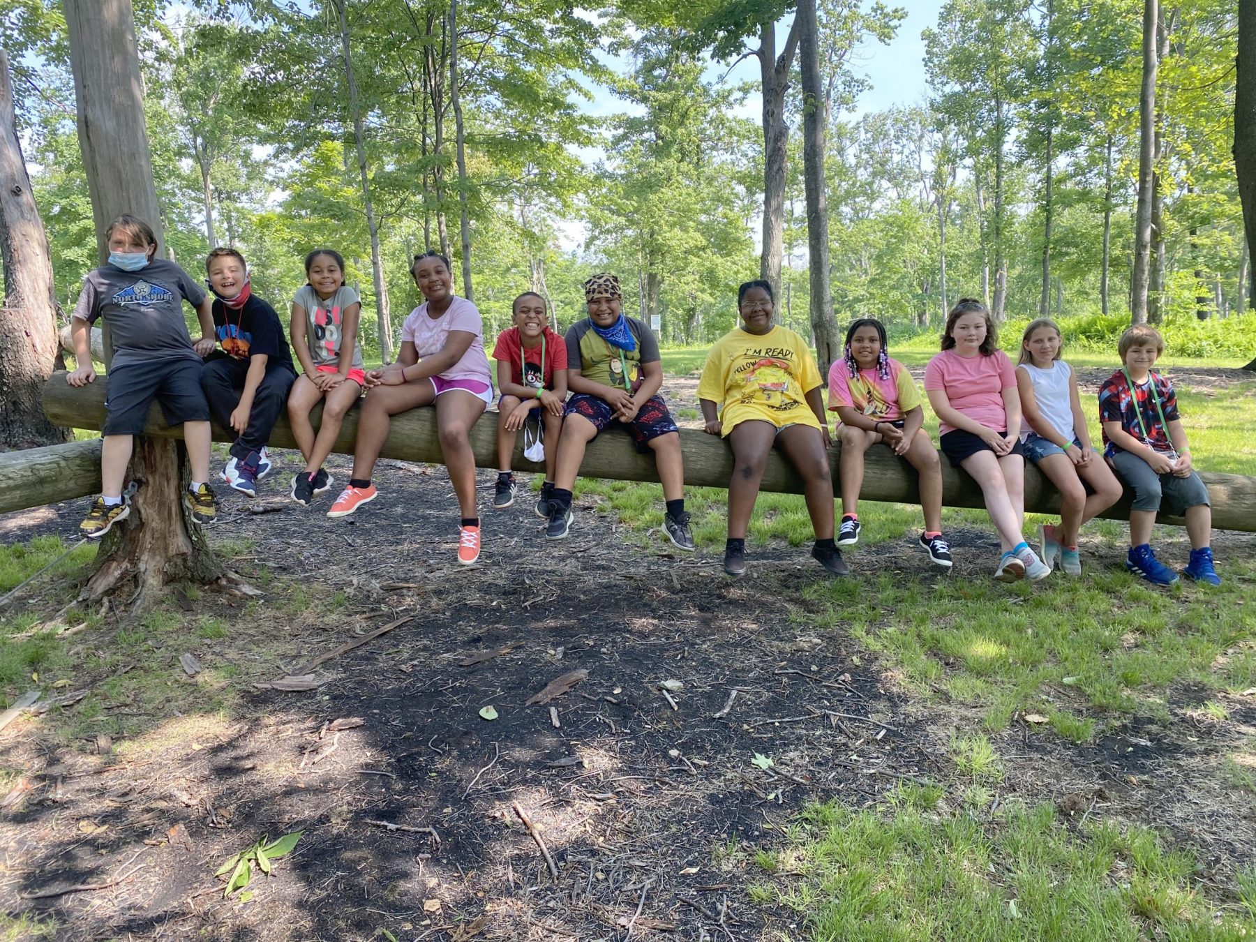 log group